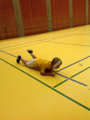 Sportissima 2015 