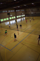 palestra
